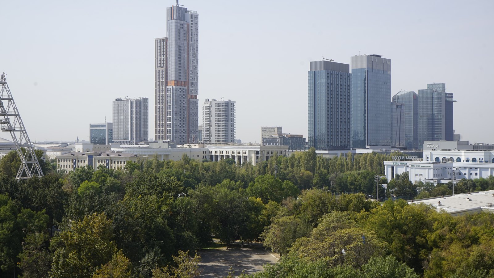 A cluster of glass skyscrapers rising above a dense park of trees